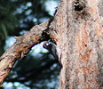 photo thumbnail #3