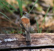 photo thumbnail #14