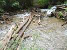 photo thumbnail #8