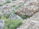 photo thumbnail #11