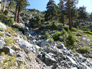 photo thumbnail #8