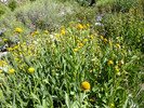 photo thumbnail #10