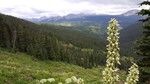 photo thumbnail #9