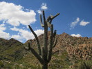 photo thumbnail #2