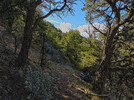 photo thumbnail #7