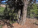 photo thumbnail #8