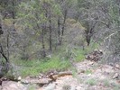 photo thumbnail #10