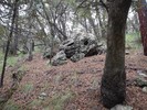 photo thumbnail #13