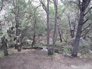 recent photo