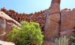 photo thumbnail #6