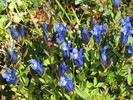photo thumbnail #7