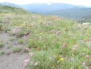 photo thumbnail #9