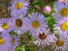 photo thumbnail #5