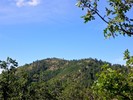 2015-07-31 :1: Moscow Peak Loop :: kingsnake