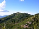 2015-07-31 :1: Moscow Peak Loop :: kingsnake