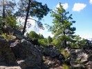 photo thumbnail #10
