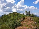 2015-07-31 :1: Moscow Peak Loop :: kingsnake
