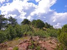 2015-07-31 :1: Moscow Peak Loop :: kingsnake