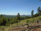 photo thumbnail #6