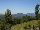 photo thumbnail #7