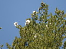 photo thumbnail #15