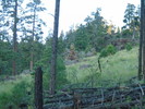 recent photo