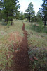 photo thumbnail #11
