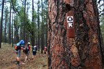 photo thumbnail #15