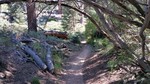 photo thumbnail #7