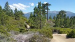 photo thumbnail #10