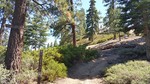 photo thumbnail #9