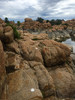 photo thumbnail #3