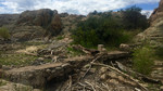 photo thumbnail #11