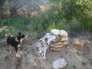 photo thumbnail #1