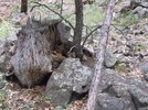 photo thumbnail #1