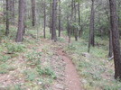 photo thumbnail #2