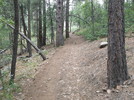 photo thumbnail #3