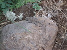 photo thumbnail #11