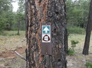 photo thumbnail #13