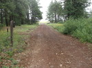 photo thumbnail #15