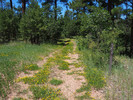 photo thumbnail #12