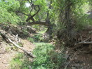 photo thumbnail #8