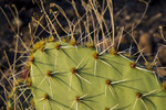 photo thumbnail #5