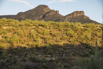 photo thumbnail #9