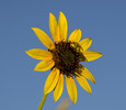 photo thumbnail #14
