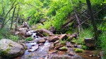 photo thumbnail #9