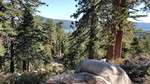 photo thumbnail #2