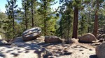 photo thumbnail #3