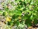 photo thumbnail #14