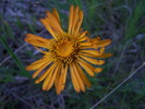 photo thumbnail #15